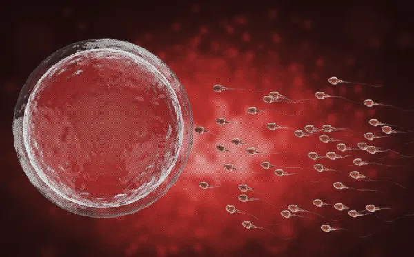 Is Sex Binary? Eight Arguments and a Leading Nonbinary Theory Examined