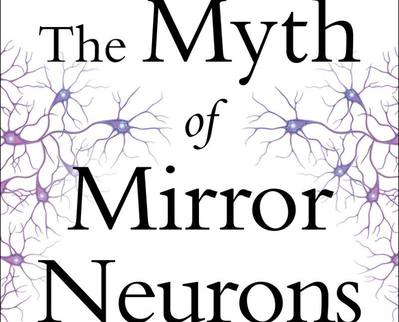 mirror neurons