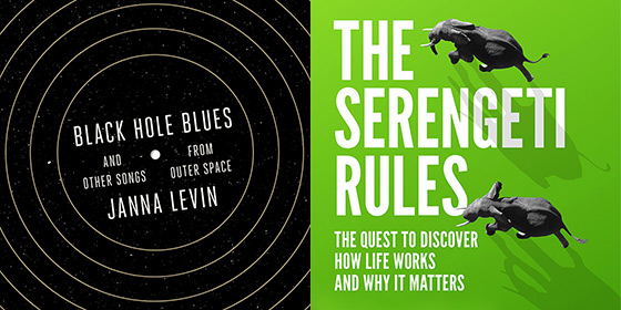 Details of book covers for Black Hole Blue and The Sergenti Rules