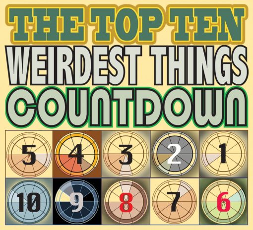 Weirdest Top 10 Lists